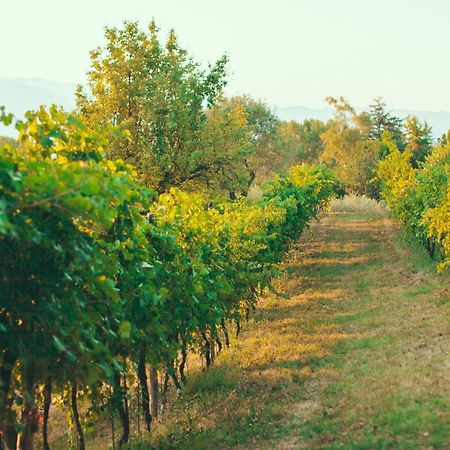 Asolo Norah'S Hill Agri Rooms Monfumo Zewnętrze zdjęcie