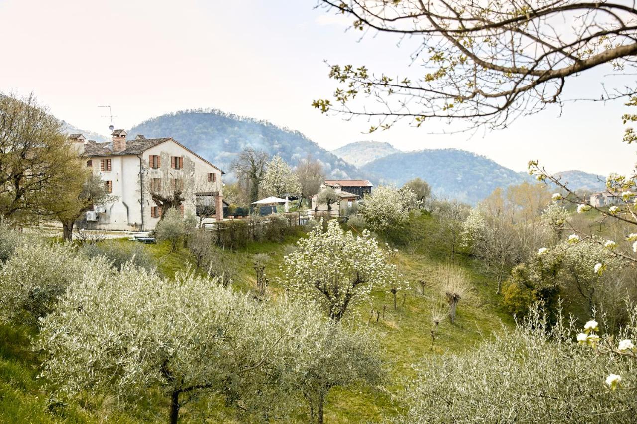 Asolo Norah'S Hill Agri Rooms Monfumo Zewnętrze zdjęcie