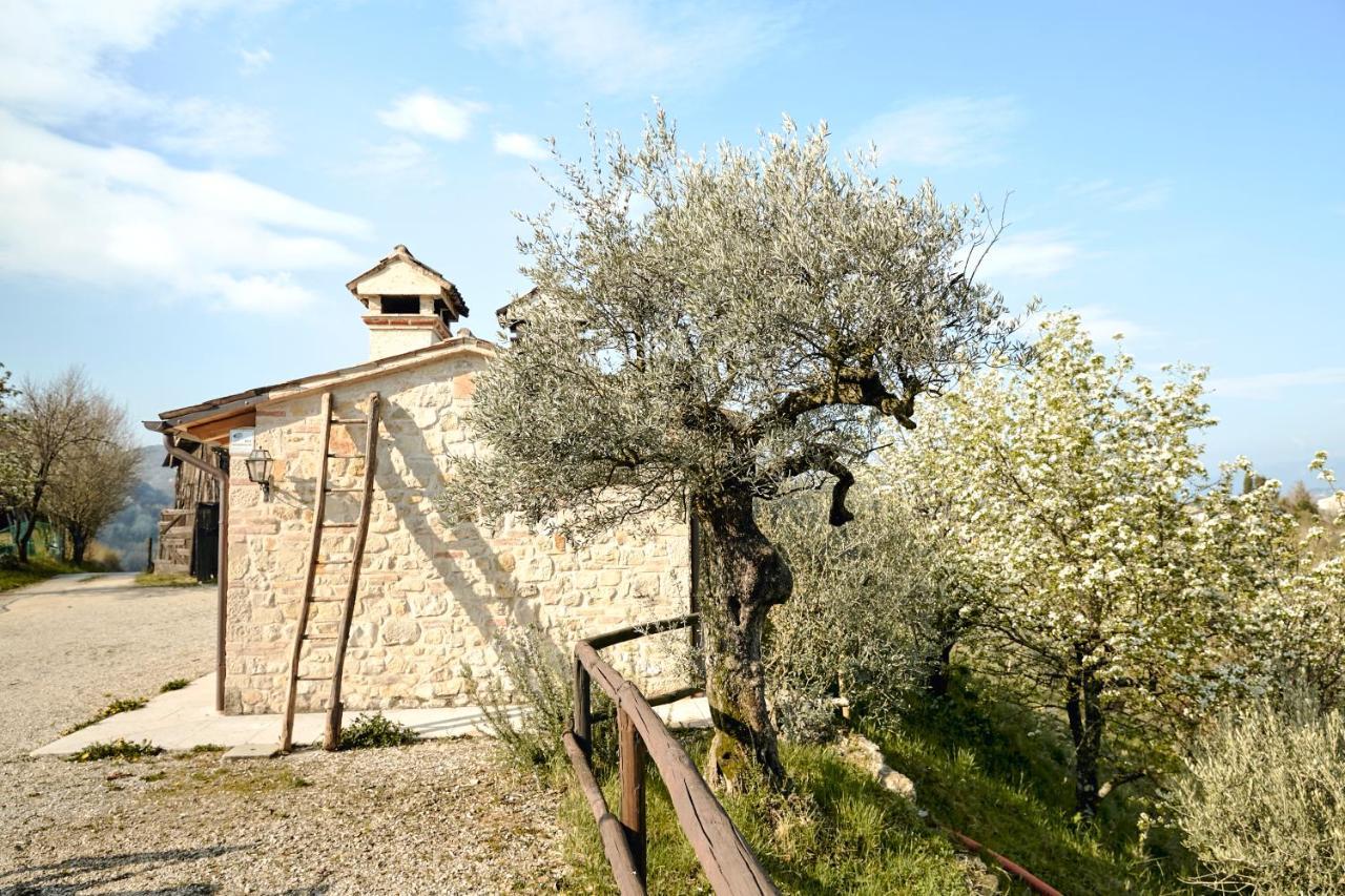 Asolo Norah'S Hill Agri Rooms Monfumo Zewnętrze zdjęcie