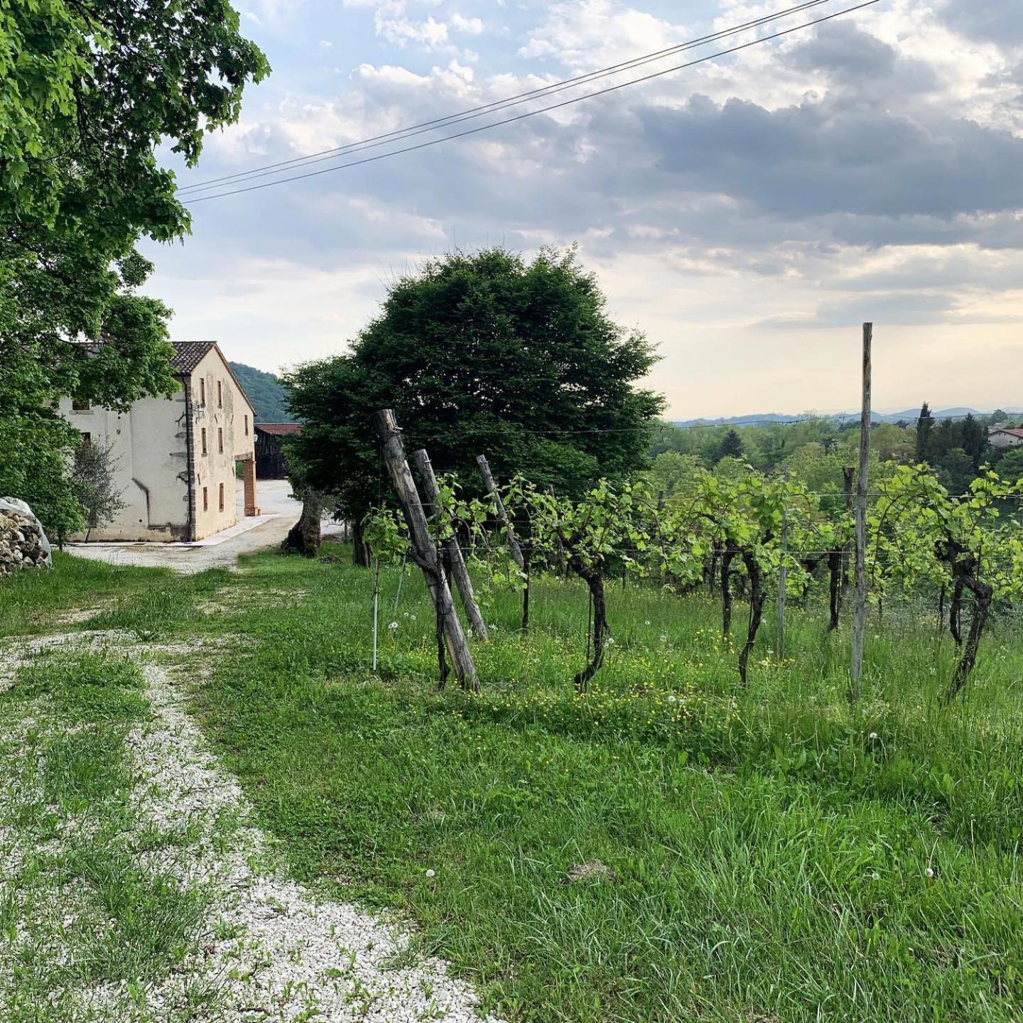 Asolo Norah'S Hill Agri Rooms Monfumo Zewnętrze zdjęcie