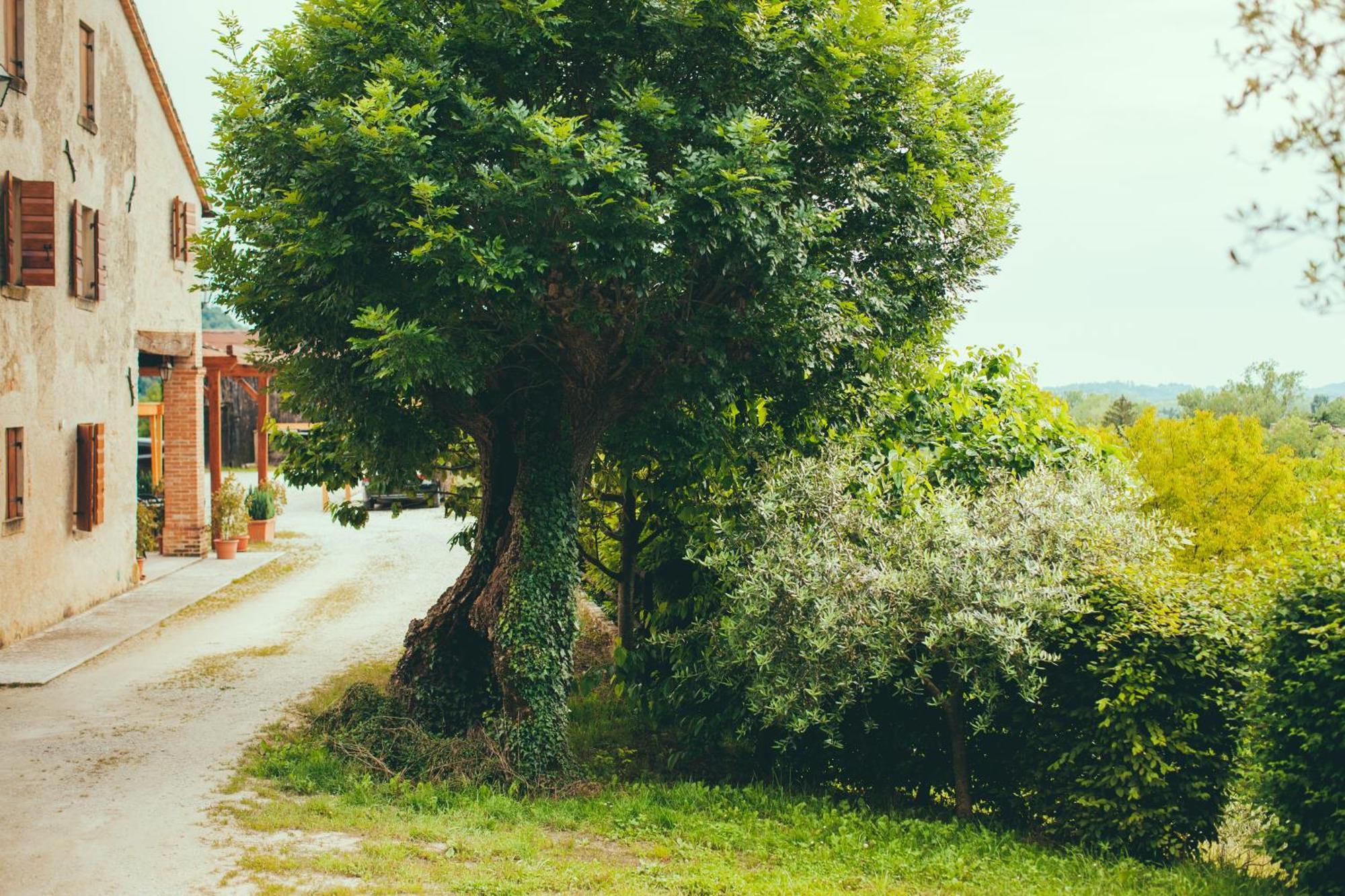 Asolo Norah'S Hill Agri Rooms Monfumo Zewnętrze zdjęcie