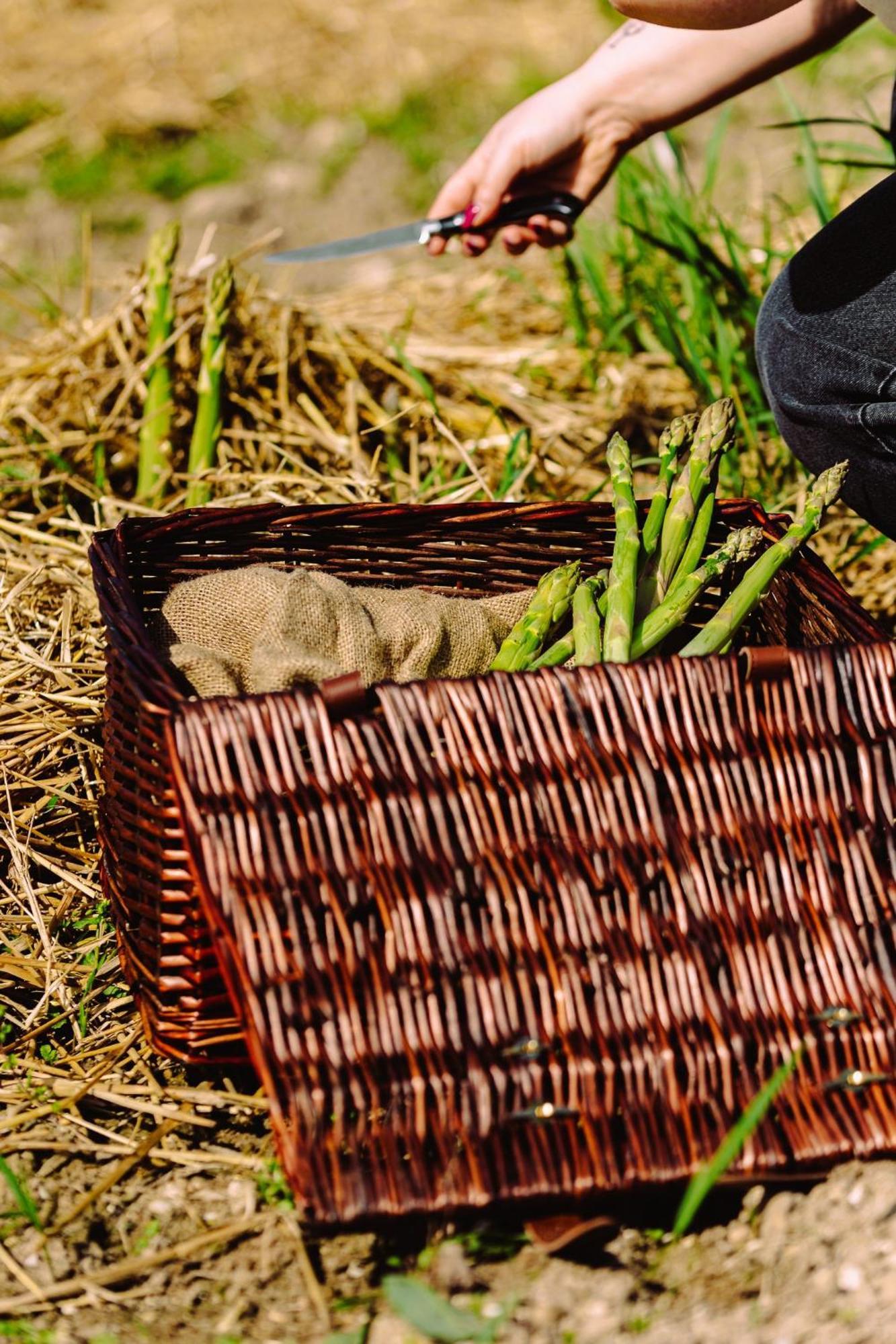 Asolo Norah'S Hill Agri Rooms Monfumo Zewnętrze zdjęcie
